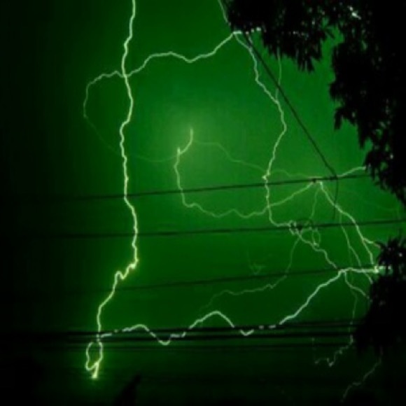 Meet your Posher, Alysa - Picture 1 of 1